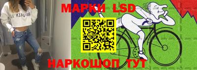 гашик Гатчина