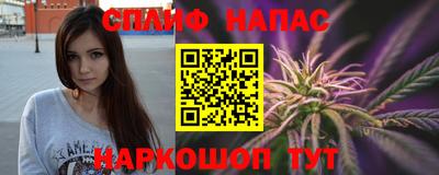 индика Гагарин