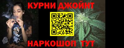 гашик Гатчина