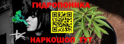 мескалин Гай