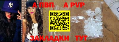 гашик Гатчина