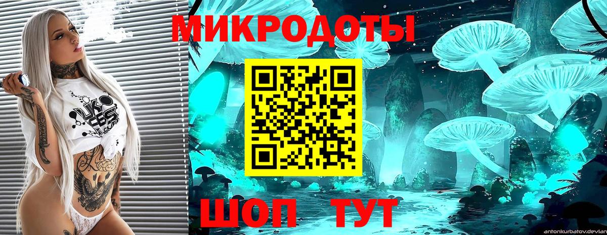 Псилоцибиновые грибы MAGIC MUSHROOMS Горно-Алтайск